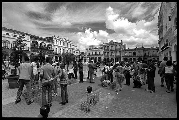 LA HABANA