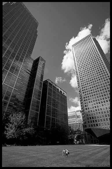 canary_wharf7.jpg