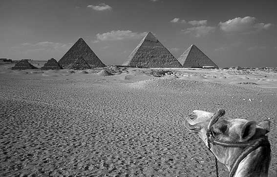 Giza