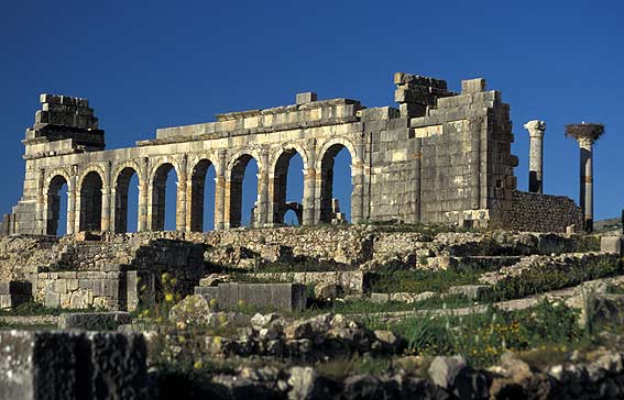 volubilis1.jpg