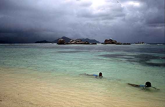  ladigue4.jpg